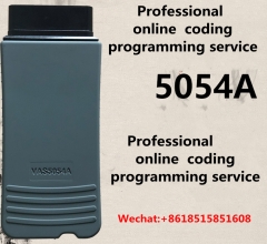 VOLKSWAGEN SKODA AUDI Online account deprotection matching instrument ABS steering machine Professional online  coding programming service 5054 ODIS